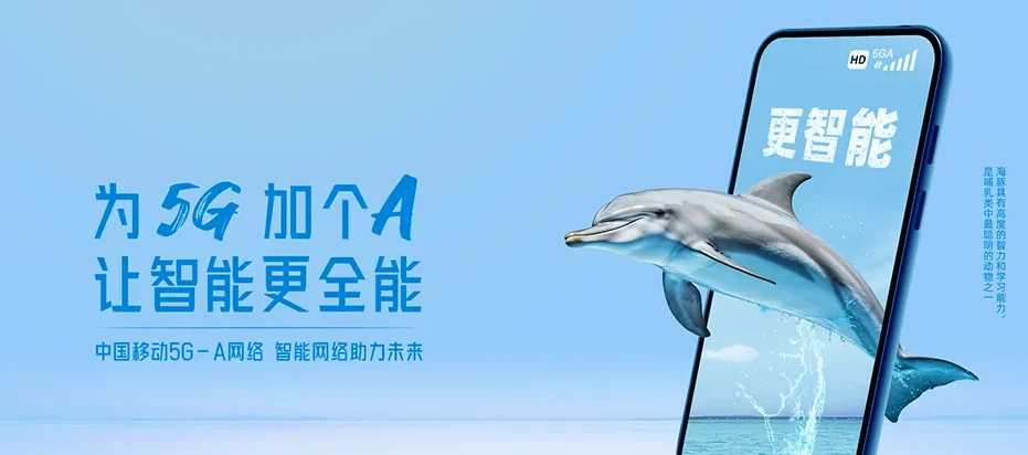 偏关县偏关县楼沟乡 移动宽带
